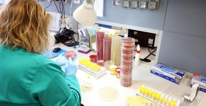 Coronavirus prodotto in laboratorio in Cina? Il servizio choc del TgR Rai nel 2015 e la smentita di Open