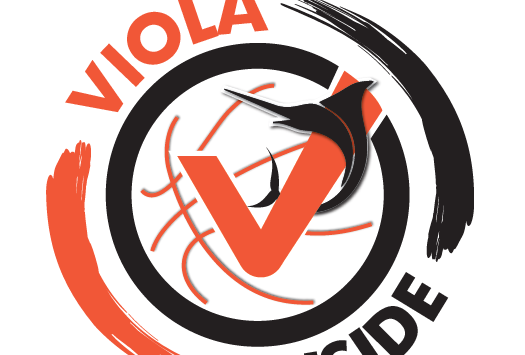 Associazione culturale Violainside: parte il progetto “San Luca va a canestro”