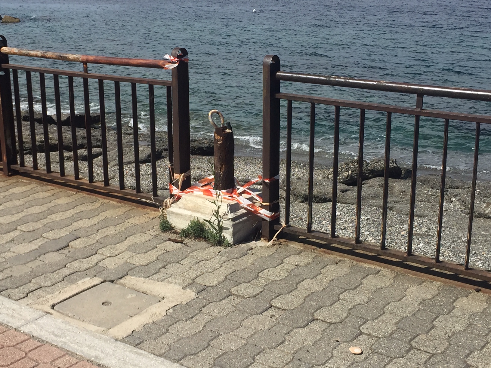A Reggio Calabria per le ferie: «Ho ritrovato la mia Lazzaro abbandonata»