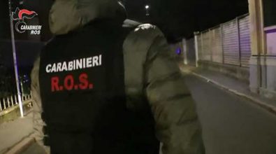 Omicidio, truffa ed estorsioni: 43 indagati in Calabria – I NOMI