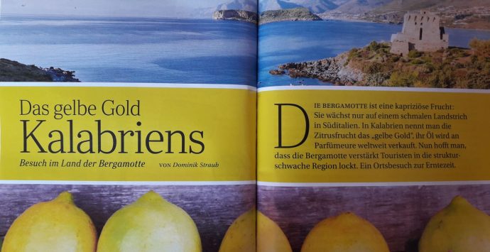 Reggio Calabria, Pazzano: «Grazie a noi la rivista Reader’s Digest parla di bergamotto»