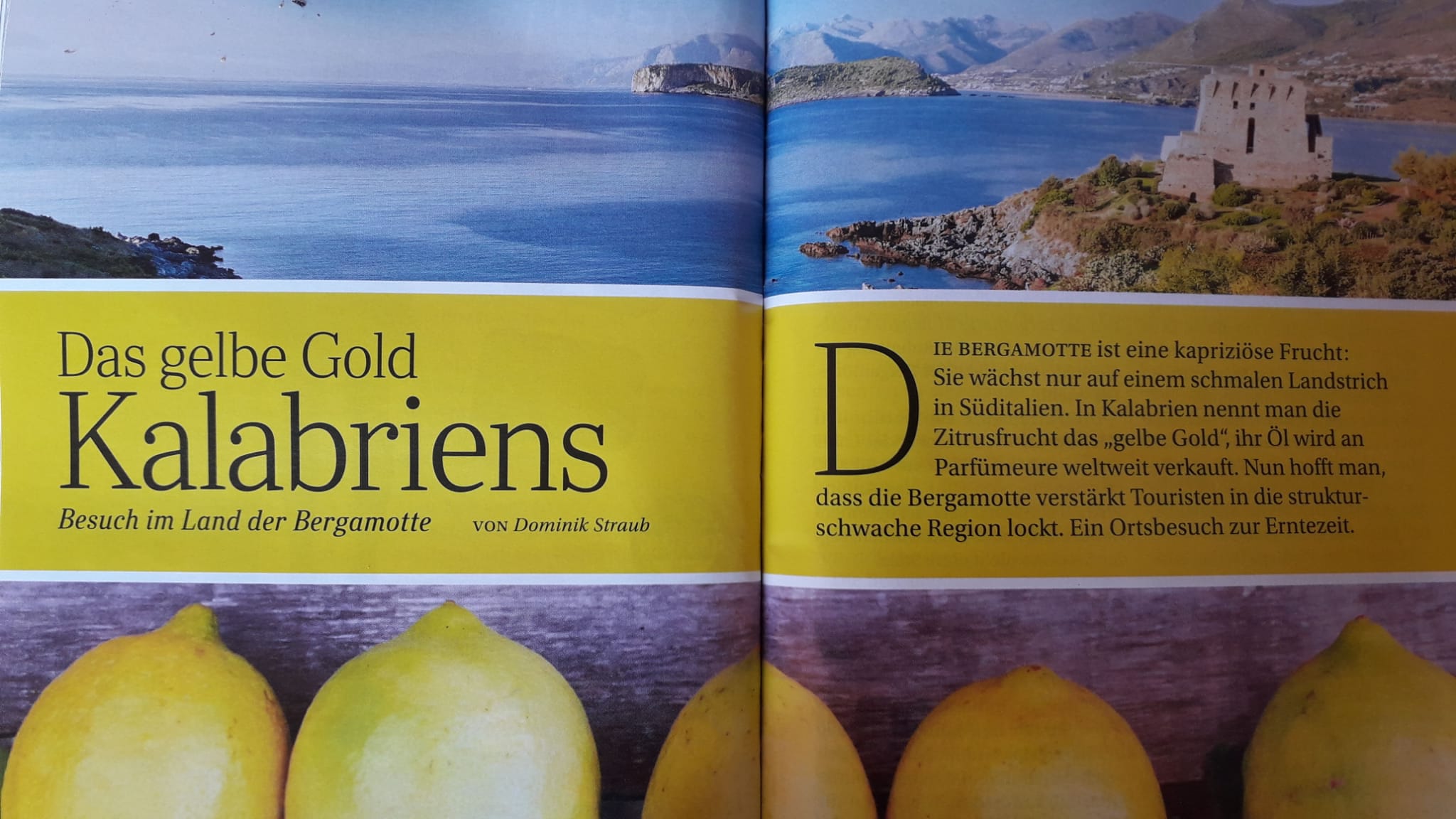 Reggio Calabria, Pazzano: «Grazie a noi la rivista Reader’s Digest parla di bergamotto»