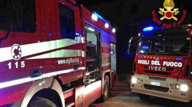 Reggio, clinica veterinaria di Ravagnese distrutta da un incendio