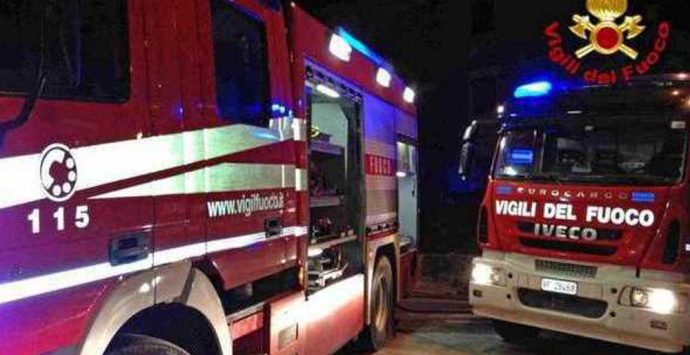 Reggio, clinica veterinaria di Ravagnese distrutta da un incendio