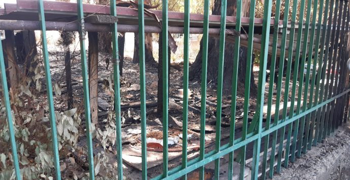 Reggio, incendiata e distrutta la colonia felina dell’associazione “Il gatto nero”