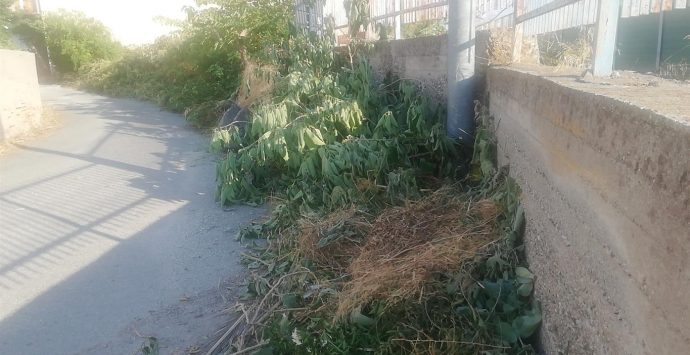 Reggio Calabria, Crea: «Lazzaro, paese abbandonato tra sterpaglie, rifiuti stradali»