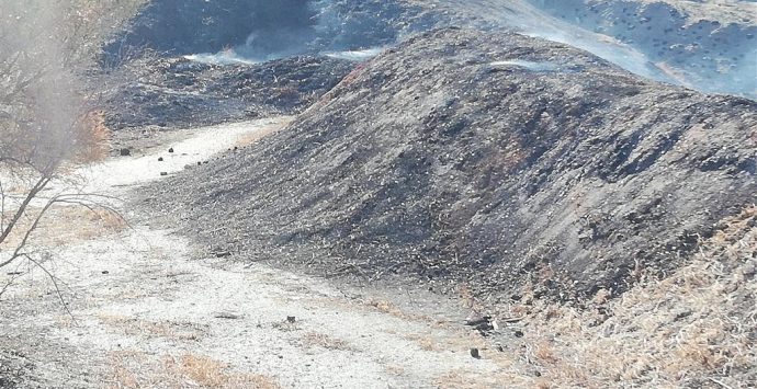 Lazzaro, Crea: «La combustione dei fanghi di depurazione a  è un pericolo per la salute pubblica»