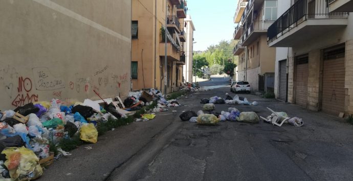 Reggio, degrado e spazzatura nella via che conduce alla Mediterranea