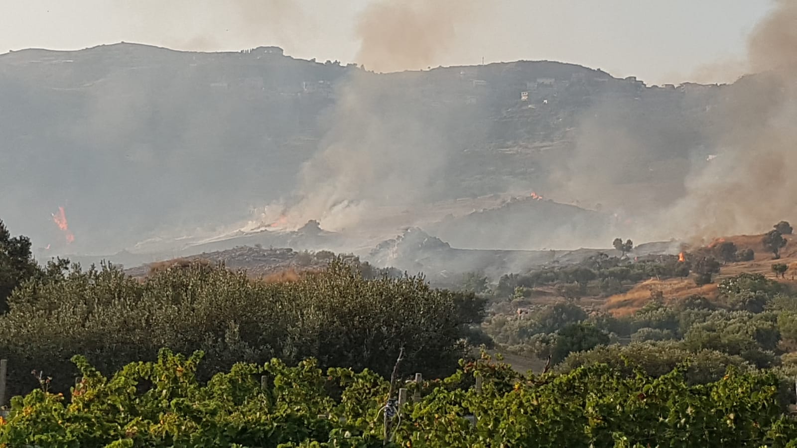 Incendio a Motta San Giovanni, l’amministrazione chiede verifiche e lo stato di calamità