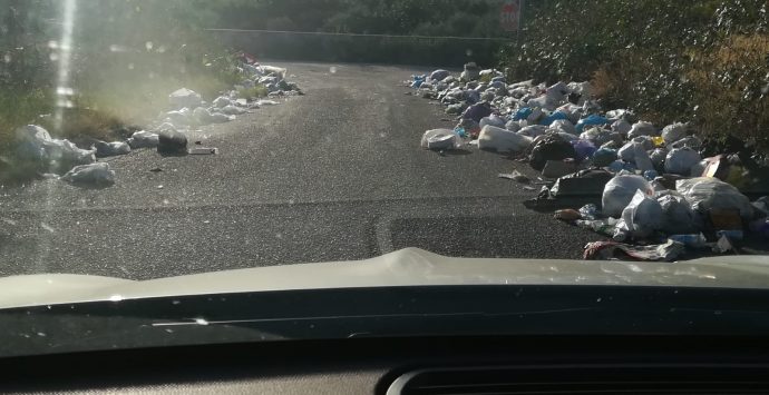 Reggio, emergenza rifiuti. Fioccano denunce per la situazione igenico – sanitaria
