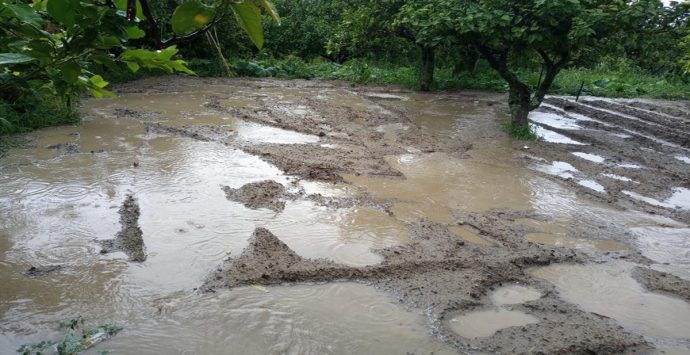 Reggio Calabria, Crea: «Dopo i lavori dell’attraversamento sul Valanidi le acque piovane invadono gli agrumeti»