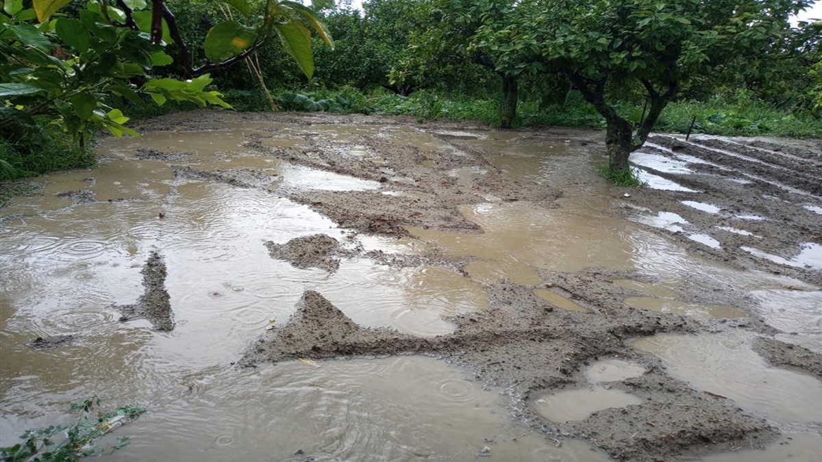 Reggio Calabria, Crea: «Dopo i lavori dell’attraversamento sul Valanidi le acque piovane invadono gli agrumeti»