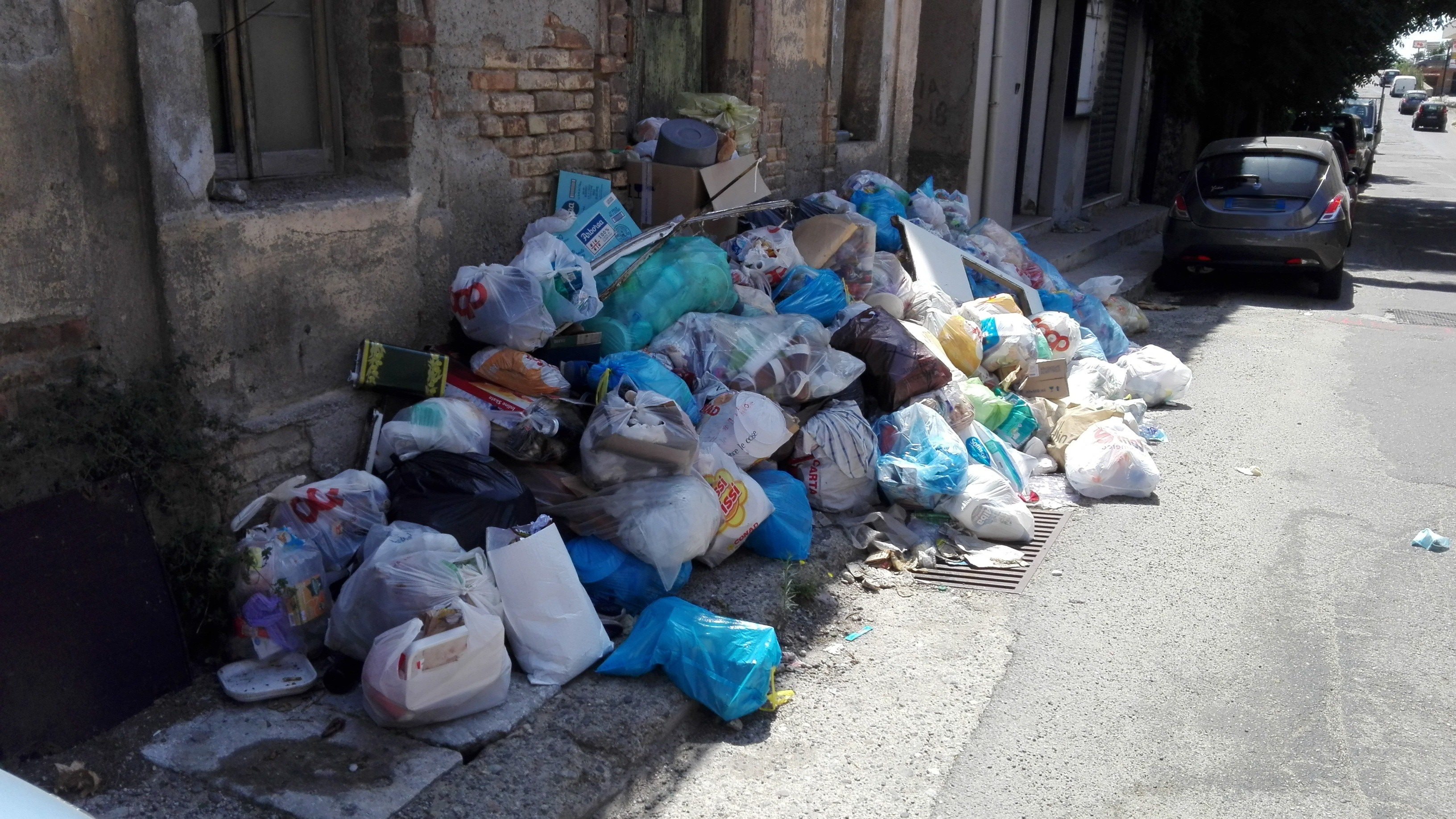 Elezioni Reggio, Rulli: «Emergenza rifiuti? Manca comunicazione tra Comune e Regione»