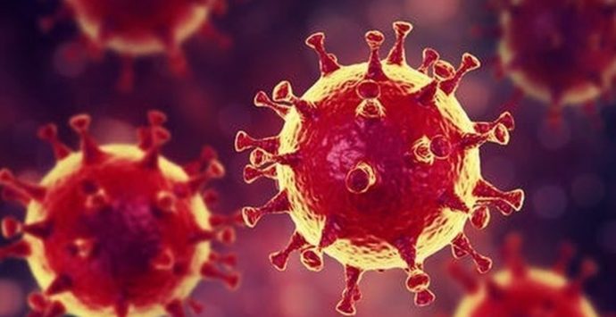 Coronavirus Reggio Calabria, 113 nuovi casi positivi