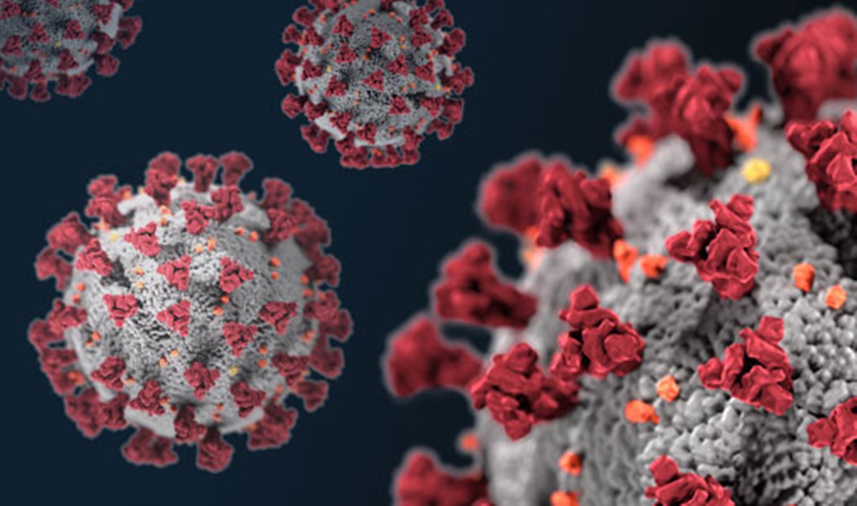 Coronavirus Reggio Calabria, 82 nuovi casi di contagio