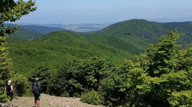 Comitato “Gambarie attiva”: «Progetto Sila non basta, dobbiamo puntare sul progetto montagne di Calabria»