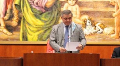 Politiche 2022, Arruzzolo: «Piana di Gioia Tauro mortificata, è ora di cambiare»