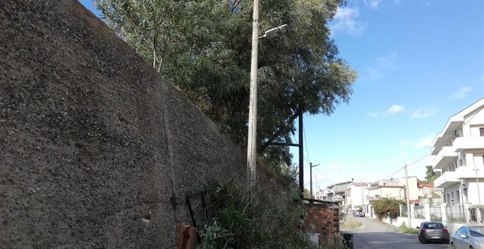 Lazzaro, crollo albero sulla via Federico Fellini. Crea: «Inascoltate le segnalazioni dell’Ancadic»