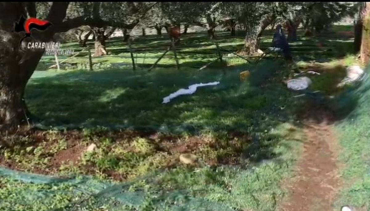 Due vite spezzate per questioni di vicinato e raccolta delle olive. Così è stato incastrato l’omicida di Calanna