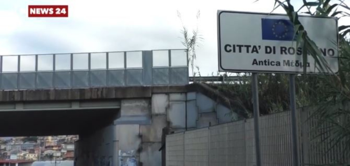 Rosarno, Coldiretti Calabria: «Condanna e solidarietà a Patrizia Rodi per il vile atto vandalico subito»