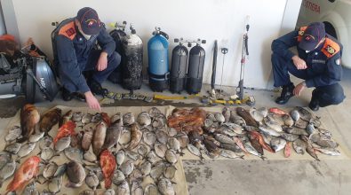 Bagnara, la Guardia costiera sorprende tre pescatori di frodo