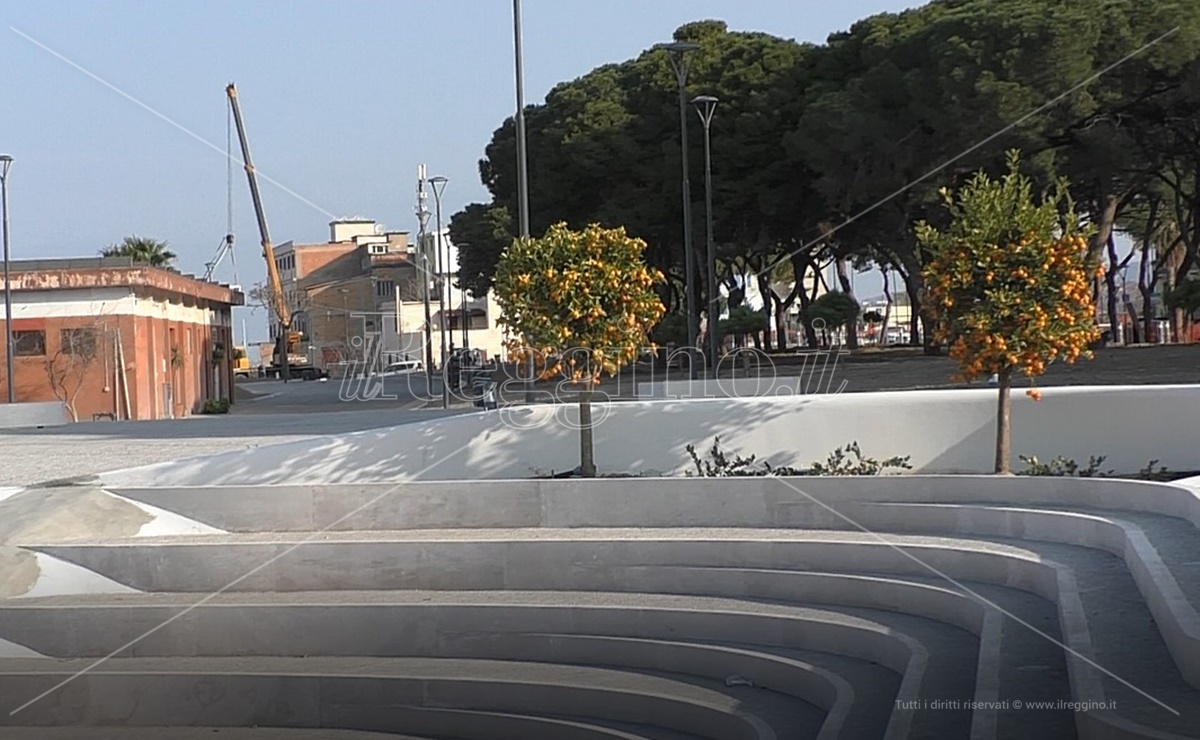 Il Waterfront celebra il settecentenario dantesco con “Reggio Calabria legge Dante”