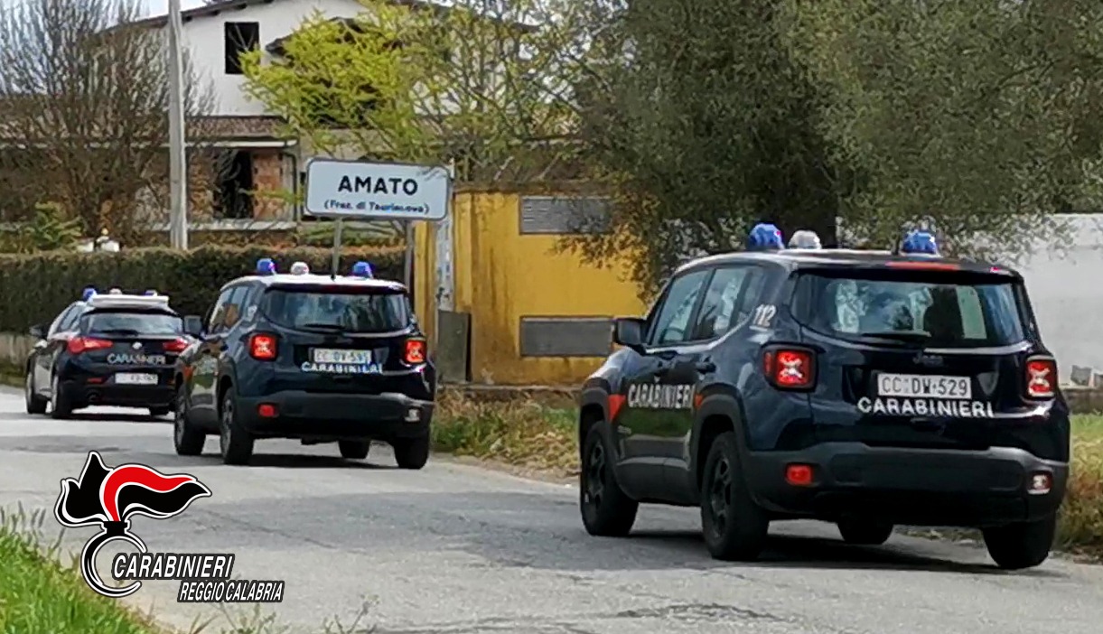Spaccio di droga, sei arresti dei carabinieri fra Piana e Locride. NOMI