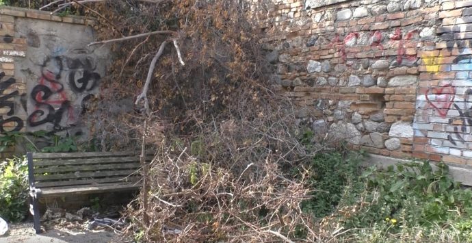 La storica scalinata di via Giudecca a Reggio da luogo suggestivo a zona degradata
