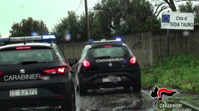 Controlli straordinari dei carabinieri nella Piana di Gioia Tauro, chiusi 2 locali e comminate 42 sanzioni