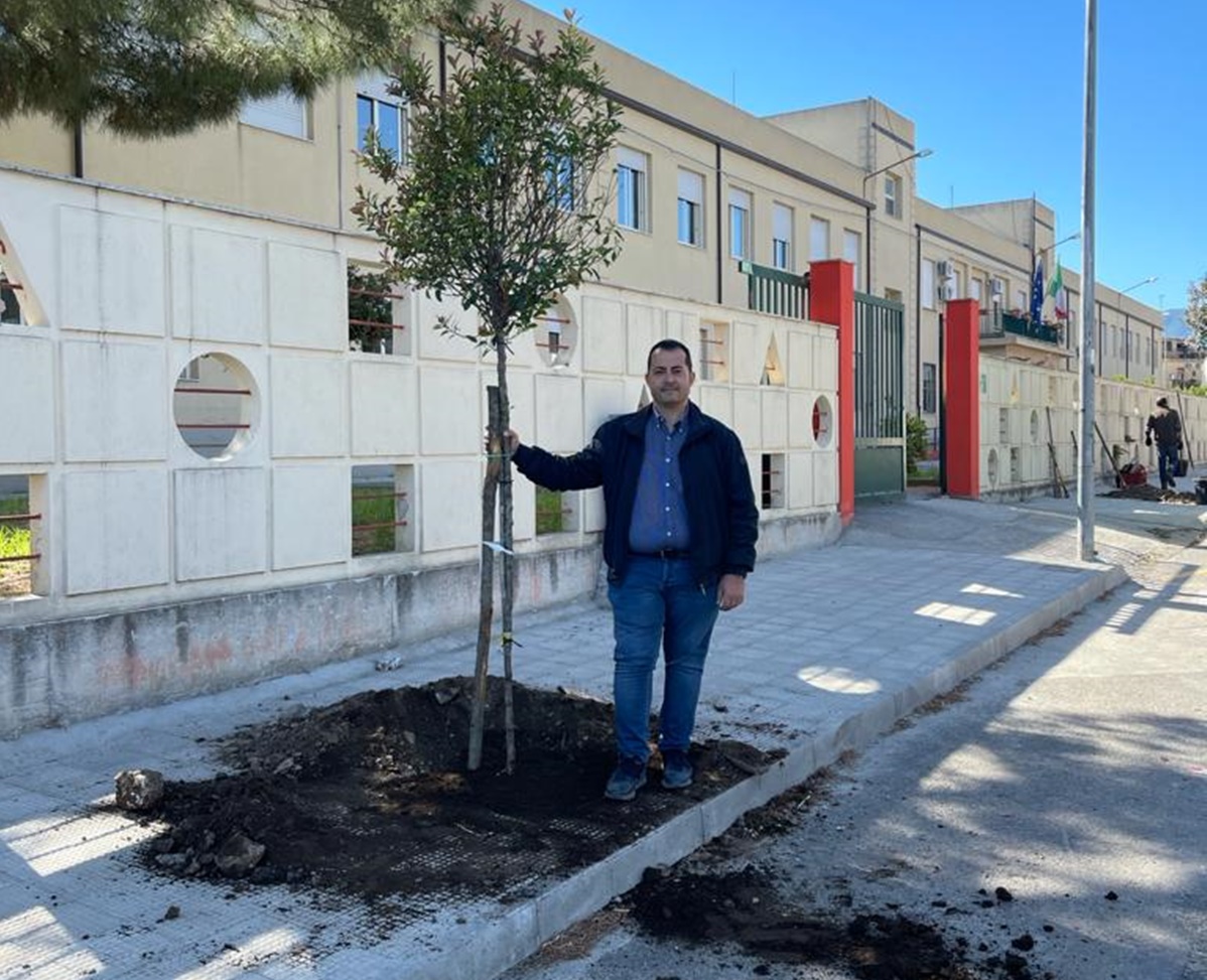 Taurianova, piantati 9 alberi per abbellire il Viale della Pace