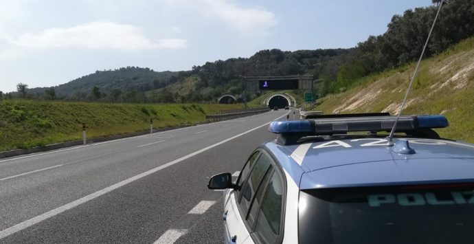 Bimba morsa da vipera, staffetta della polizia da Matera a Polistena per un farmaco salvavita