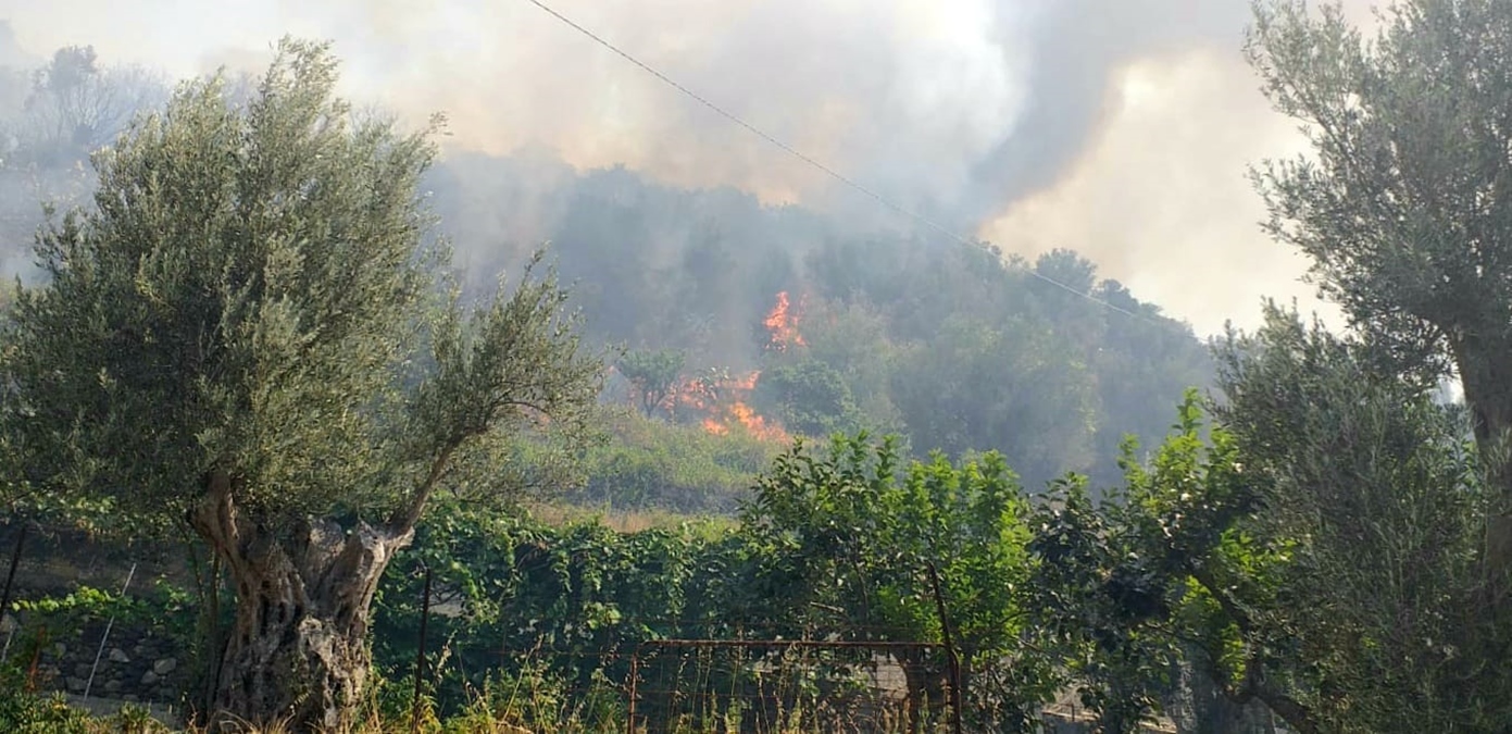 Incendio Vallata Valadini, in azione task force guidata da Calabria Verde