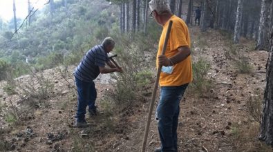 Incendio a San Luca, a rischio le Foreste vetuste: Autelitano chiede aiuto al Governo