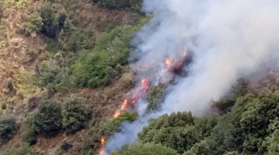 Incendi in Aspromonte, Reggio futura: «Troppe anomalie all’Ente Parco»