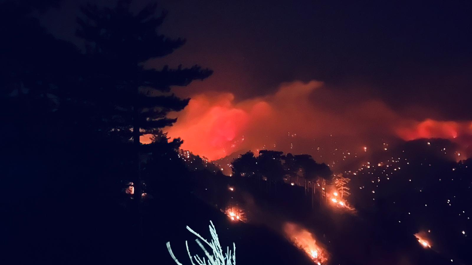 Incendi, nuova notte di fuoco in Aspromonte. Fiamme verso Montalto