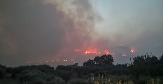 Emergenza incendi, alla Calabria 2 milioni: il piano interventi dovrà essere pronto in 15 giorni