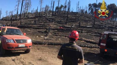 Incendi in Aspromonte, Lombardi: «Lo stato dei luoghi è severo»