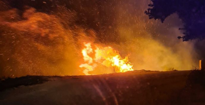 Incendi, la Calabria brucia ancora: oltre 160 gli interventi nelle ultime 24 ore
