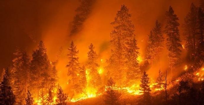 Incendi in Calabria, il piano di interventi potenziati per non replicare l’inferno del 2021