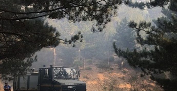 Incendio a San Luca, a rischio le Foreste vetuste: Autelitano chiede aiuto al Governo