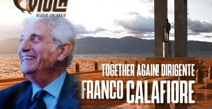 Viola, Franco Calafiore importante conferma nel gruppo dirigenziale