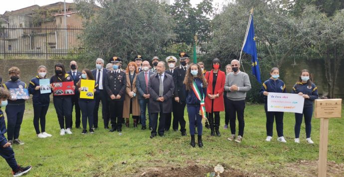 “Un albero per il futuro” è stato piantato a Reggio Calabria nel segno di Giovanni Falcone