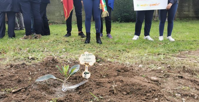“Un albero per il futuro” è stato piantato a Reggio Calabria nel segno di Giovanni Falcone