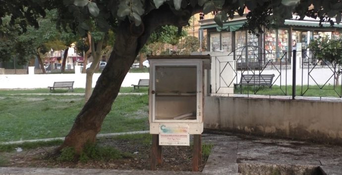 Reggio, il volontariato che salva la bellezza: la piccola biblioteca diffusa di piazza Castello torna al suo posto