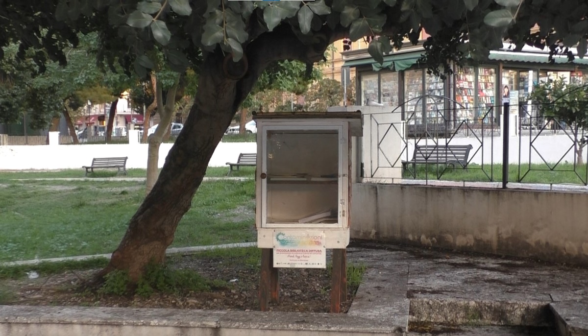 Reggio, il volontariato che salva la bellezza: la piccola biblioteca diffusa di piazza Castello torna al suo posto