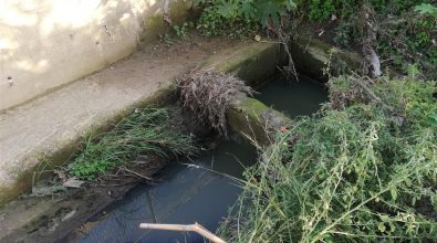 Melito di Porto Salvo, Ancadic: «Perdura la mala depurazione, acqua e fogna invadono le abitazioni»
