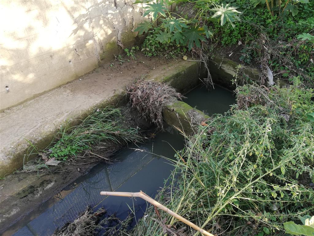 Melito di Porto Salvo, Ancadic: «Perdura la mala depurazione, acqua e fogna invadono le abitazioni»