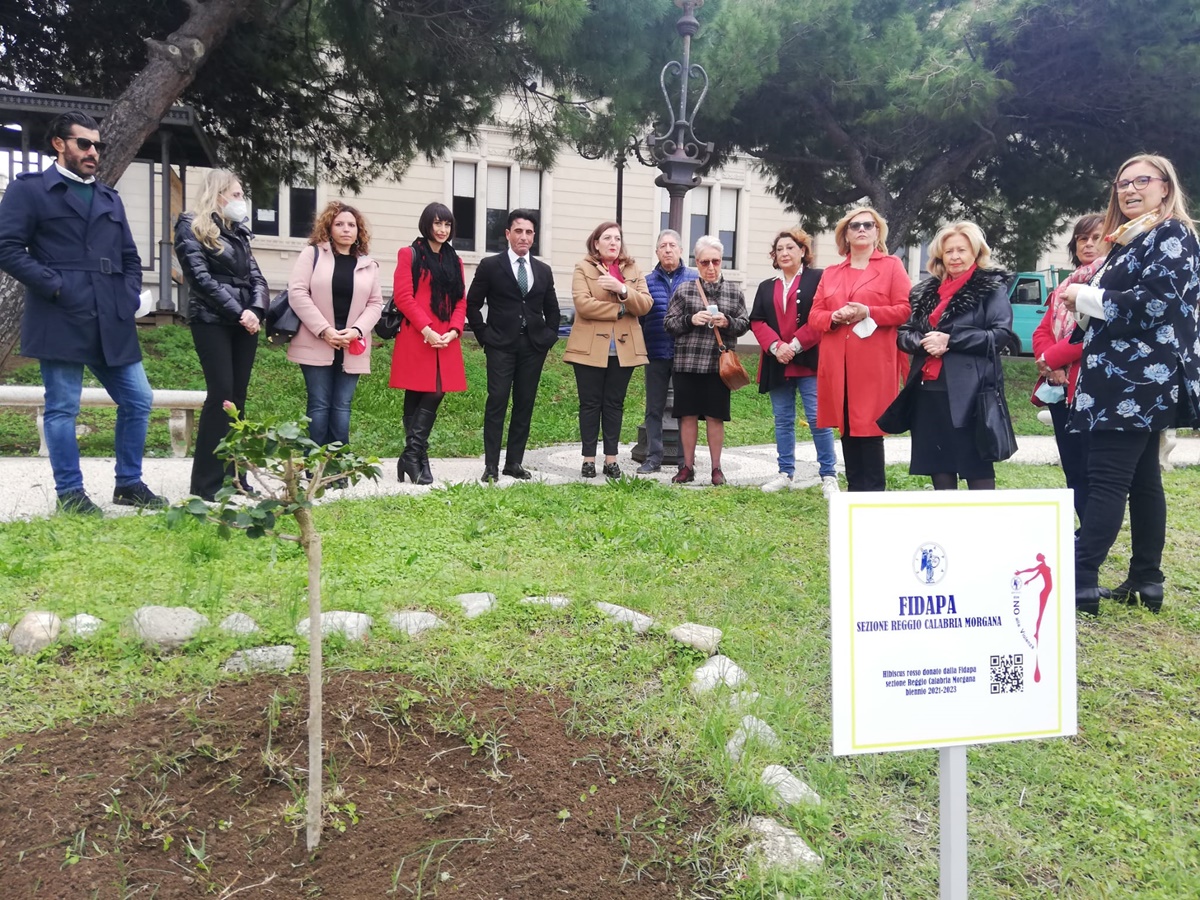 Reggio, sul Lungomare un albero contro la violenza sulle donne: Comune accanto a Fidapa “Morgana”