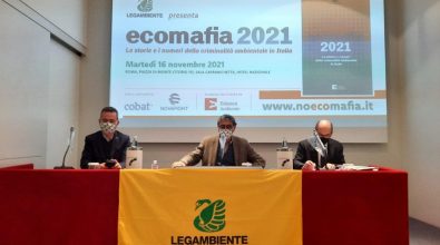 Ecomafia 2021, Calabria al 5° posto con 2.826 reati. Reggio prima nei reati contro la fauna, su terraferma e mare