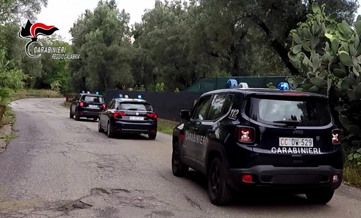 Piana di Gioia Tauro, tre arresti e cinque denunce dei carabinieri